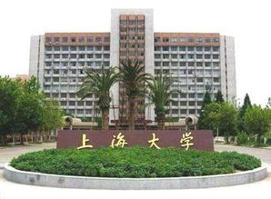 211的大学金融学有哪些（211的大学金融学有哪些专业）