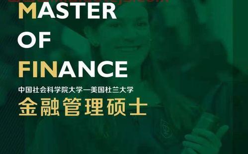 金融的中枢是什么意思（金融中fa）