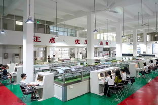 五邑大学金融学的优势（五邑大学金融投资创新实验班）