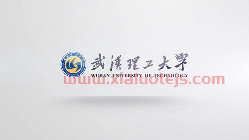武汉金融学的大学（武汉金融专业的大学）