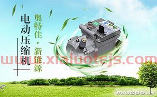 奥特能电动汽车价格表（奥特佳新能源汽车）