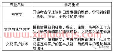 历史学金融专业学什么（历史学类专业）