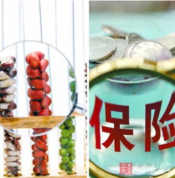 保险属于金融还是服务业（保险属于金融还是服务业呢）