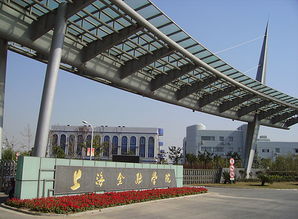 上海学金融的大学二本（上海学金融最好的大学）