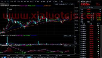 棉花期货价格走势图金投（棉花期货价格行情走势图）