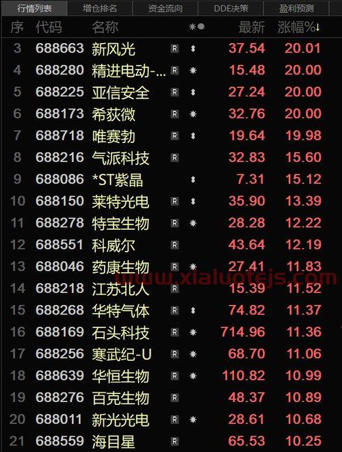 中国证券公司排行榜