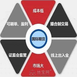 银鸽投资股票