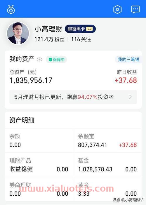 一龙ko泰拳王