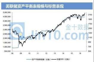 中国中兔