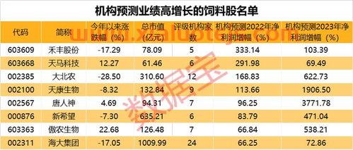 青年基金查询
