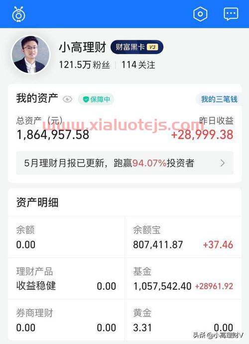 高瓴资本*持仓