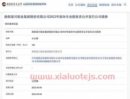 nq是什么股票