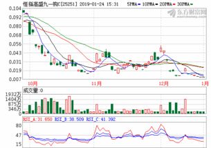 大通证券集成版