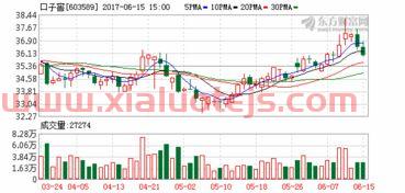 基金分红公告