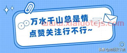 期货pta走势