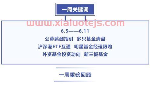 股票新闻*