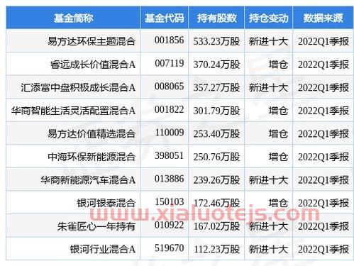 电投能源股票股吧