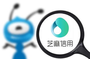 中银收益天天基金净值