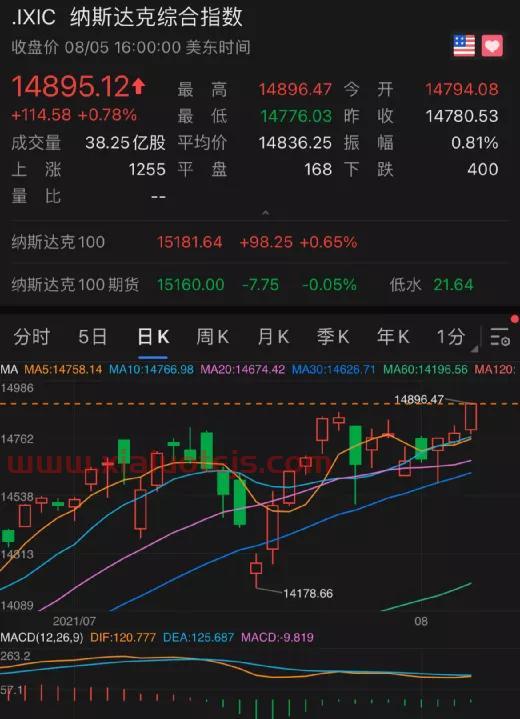 免费诊股