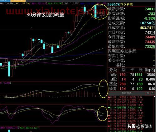 100股手续费多少