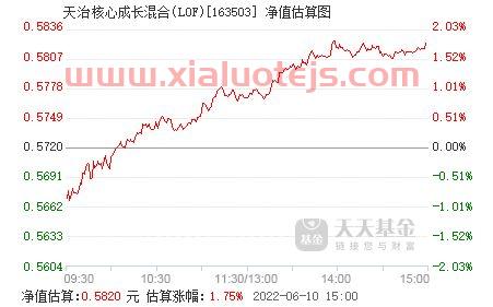 国联股份公司简介