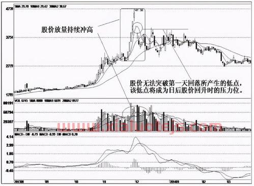 能源股票龙头股有哪些