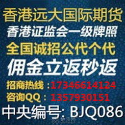海南自贸区股票龙头股