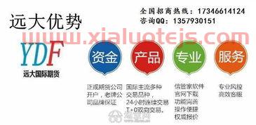 洪泰基金