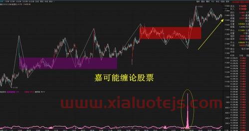 陕西黑猫股票股吧