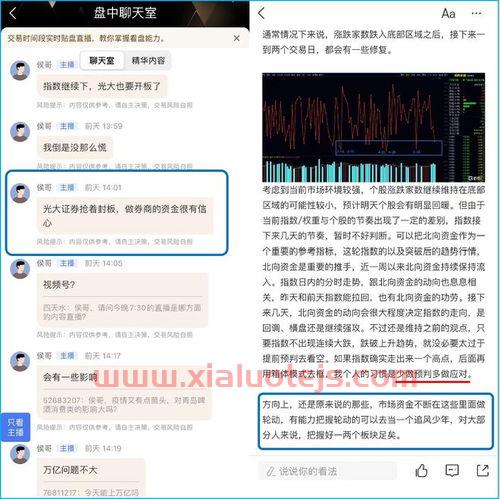 龙柏集团