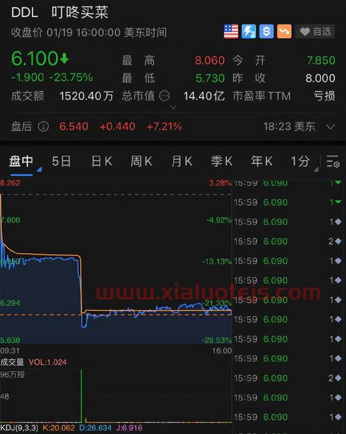 银鸽投资股票最新消息
