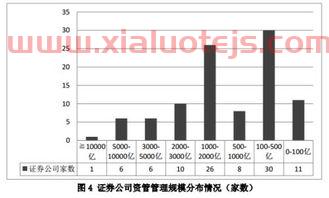 新疆火炬
