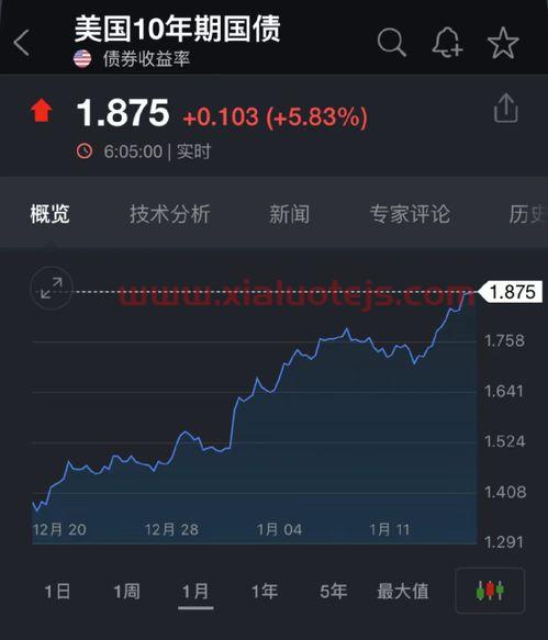 rcep概念股