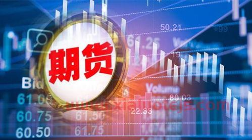 央视报道美罗