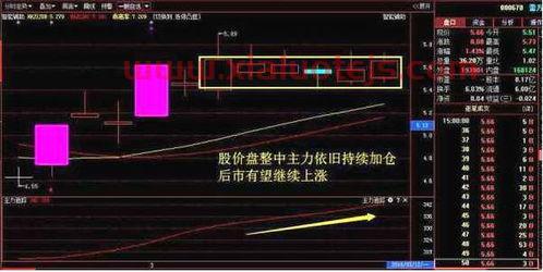 低位十字星是什么意思