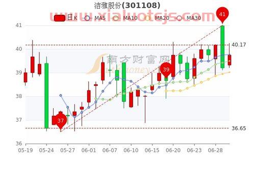 洁雅股份