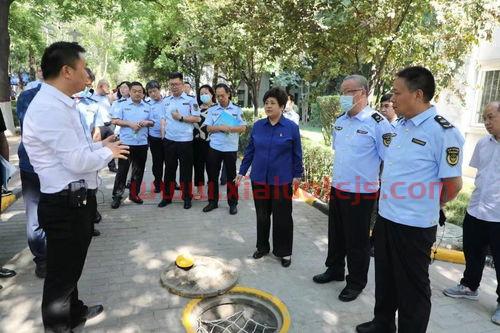 工作举措是什么意思