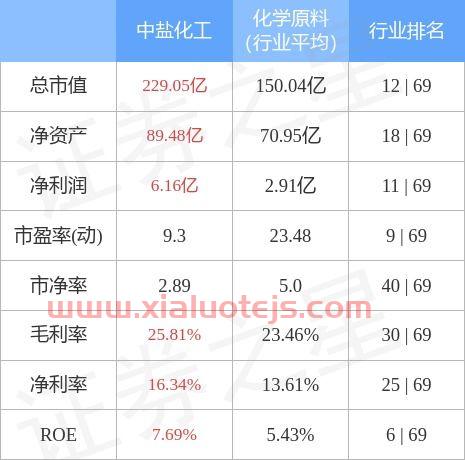 中盐化工股票股吧
