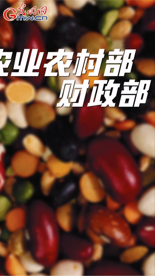 黑龙江大豆*收购价格表