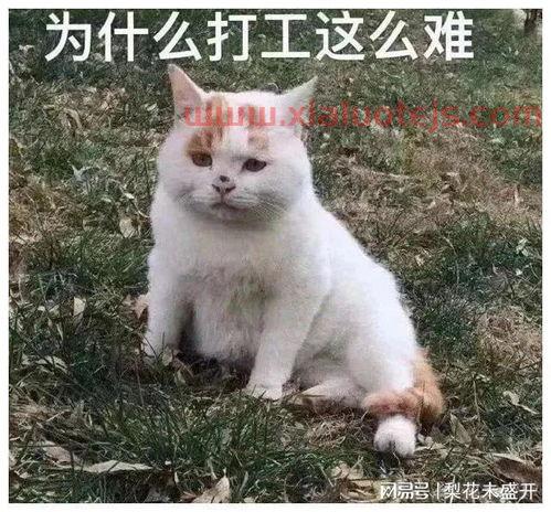 尾差是什么意思
