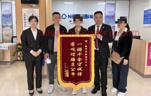 新华保险个人查询系统