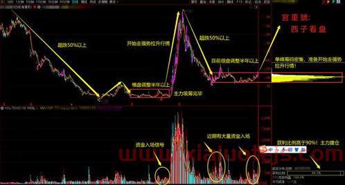 中国能建股票前景怎么样