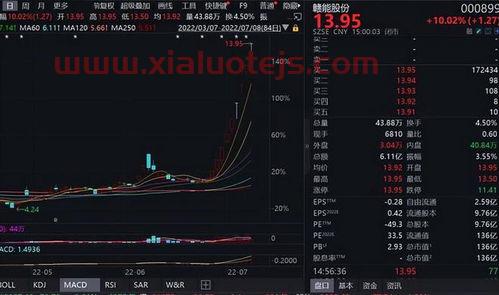 新能源龙头股排名前十