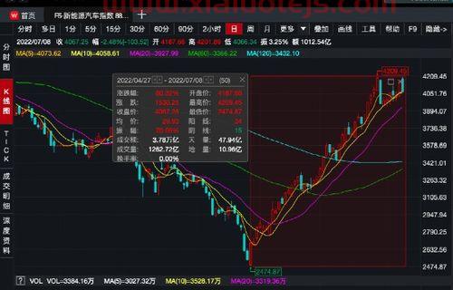 001197基金净值查询