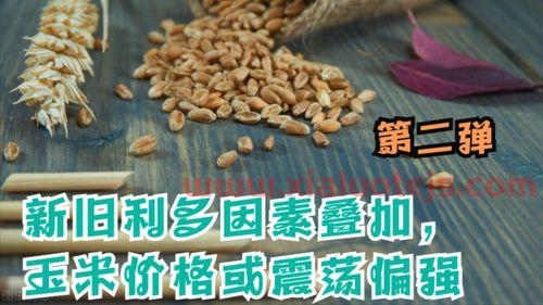 国际玉米价格最新行情