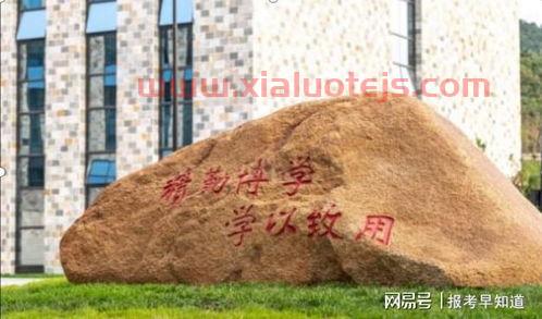 大连东软控股有限公司