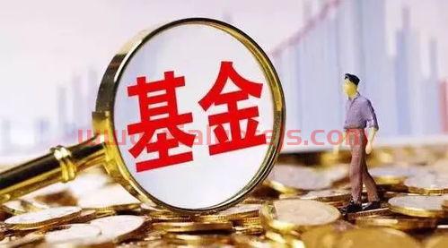 基金160311