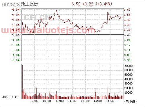 002328新朋股份股吧
