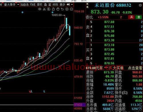 600031千股千评