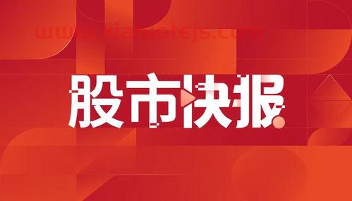 002233塔牌集团股票股吧